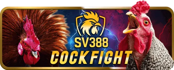 Cách sử dụng mã khuyến mãi 1xbet